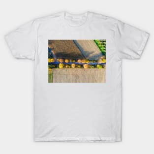 Aerial view of country road, autumn trees and ploughed field T-Shirt